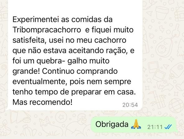 Screenshot do WhatsApp